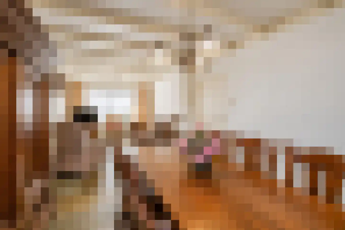 Watertorenstraat 19 Tilburg thumbnail 10