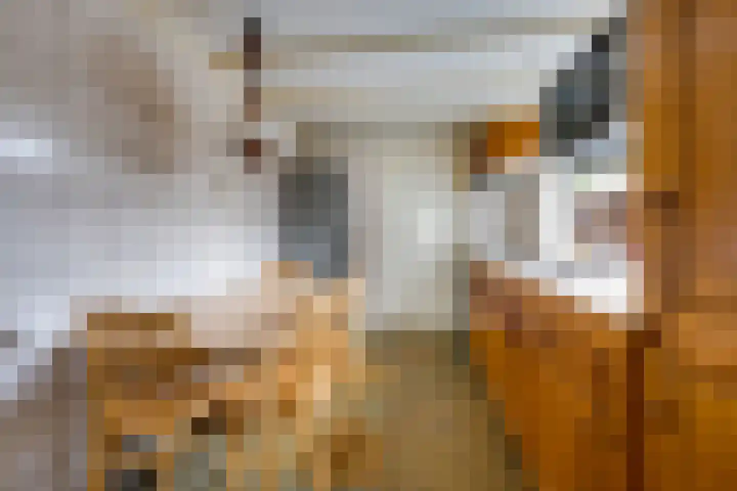 Watertorenstraat 19 Tilburg thumbnail 11