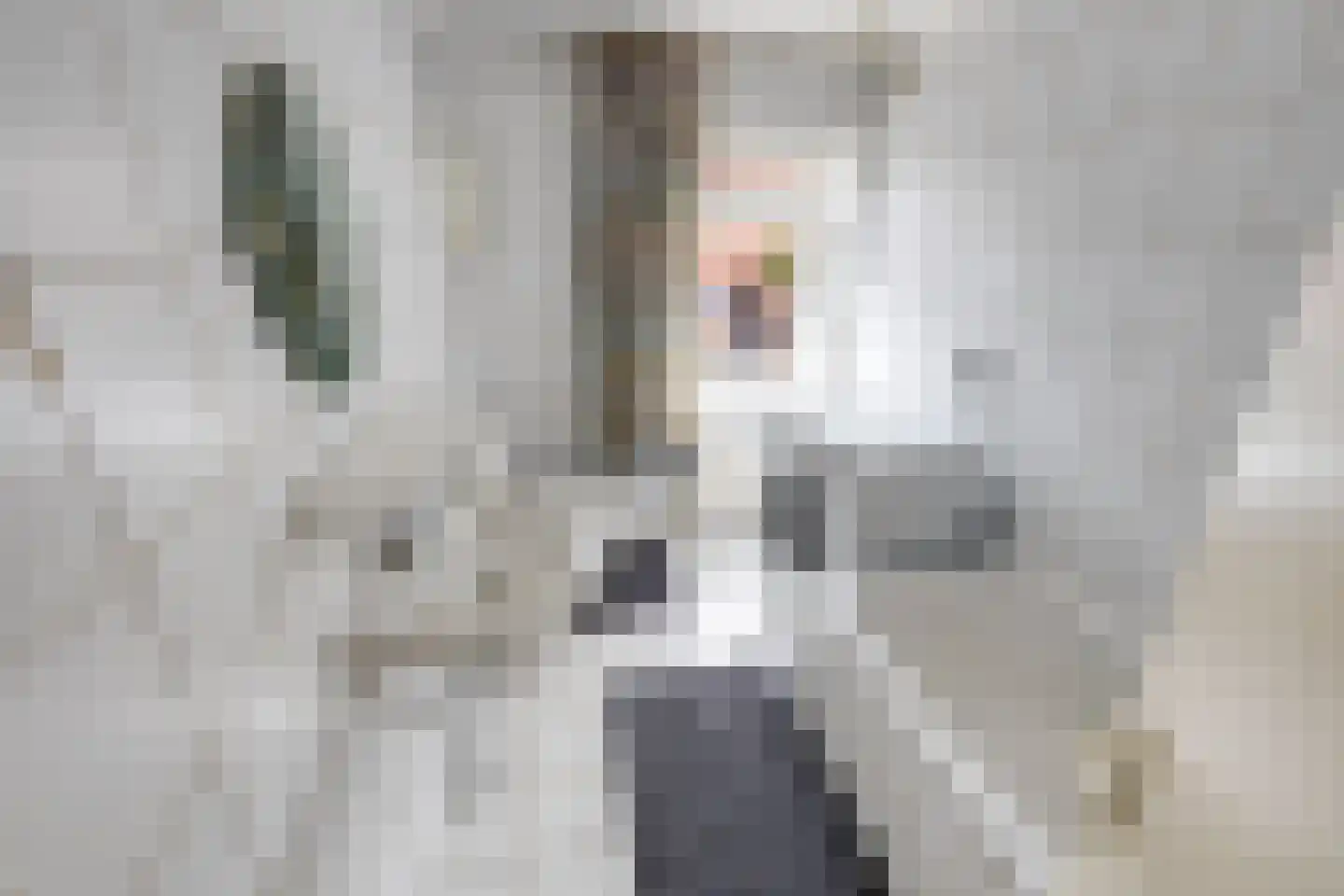 Watertorenstraat 19 Tilburg thumbnail 18