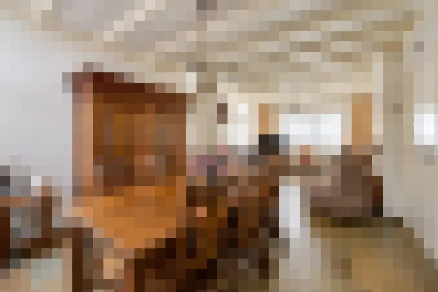 Watertorenstraat 19 Tilburg thumbnail 9