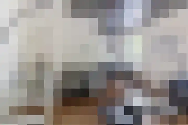 Watertorenstraat 3 Dongen thumbnail 11