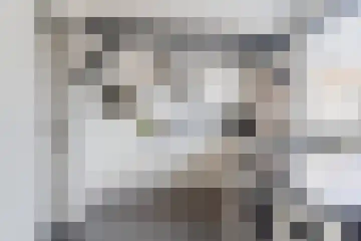 Watertorenstraat 3 Dongen thumbnail 14
