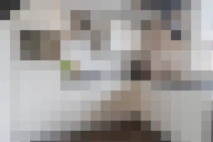 Watertorenstraat 3 Dongen thumbnail 15