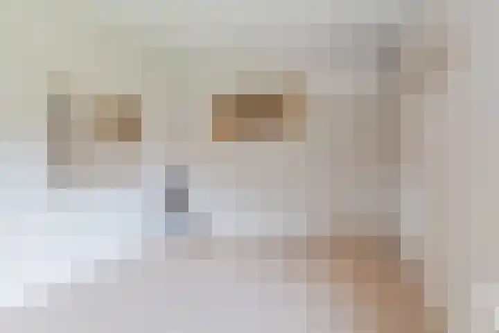 Watertorenstraat 3 Dongen thumbnail 35