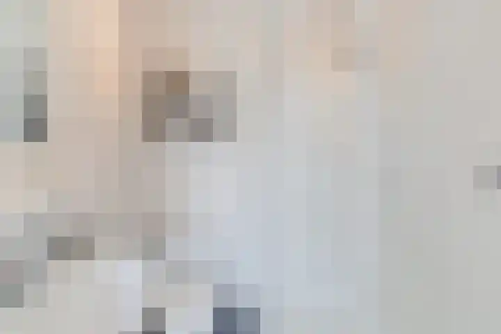 Watertorenstraat 3 Dongen thumbnail 37