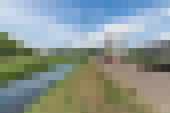 Watertorenstraat 3 Dongen thumbnail 45
