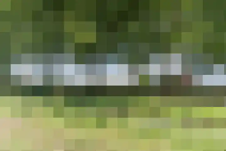 Watertorenstraat 3 Dongen thumbnail 46