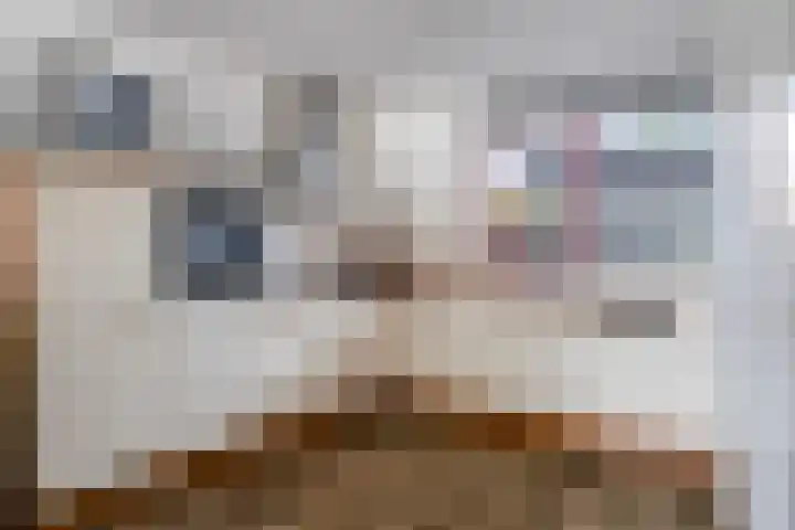 Watertorenstraat 43 Goes thumbnail 12