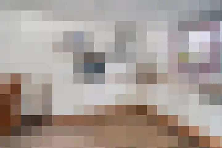 Watertorenstraat 43 Goes thumbnail 14