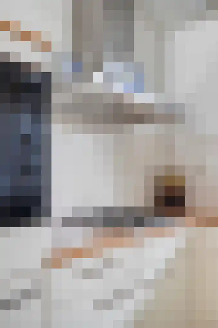 Watertorenstraat 43 Goes thumbnail 16