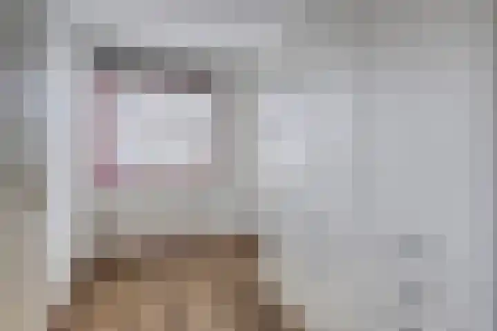 Watertorenstraat 43 Goes thumbnail 21