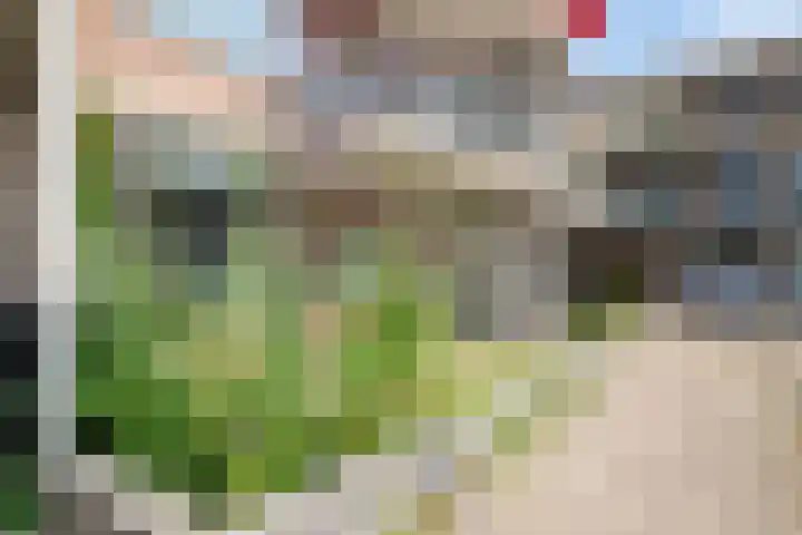 Watertorenstraat 43 Goes thumbnail 24