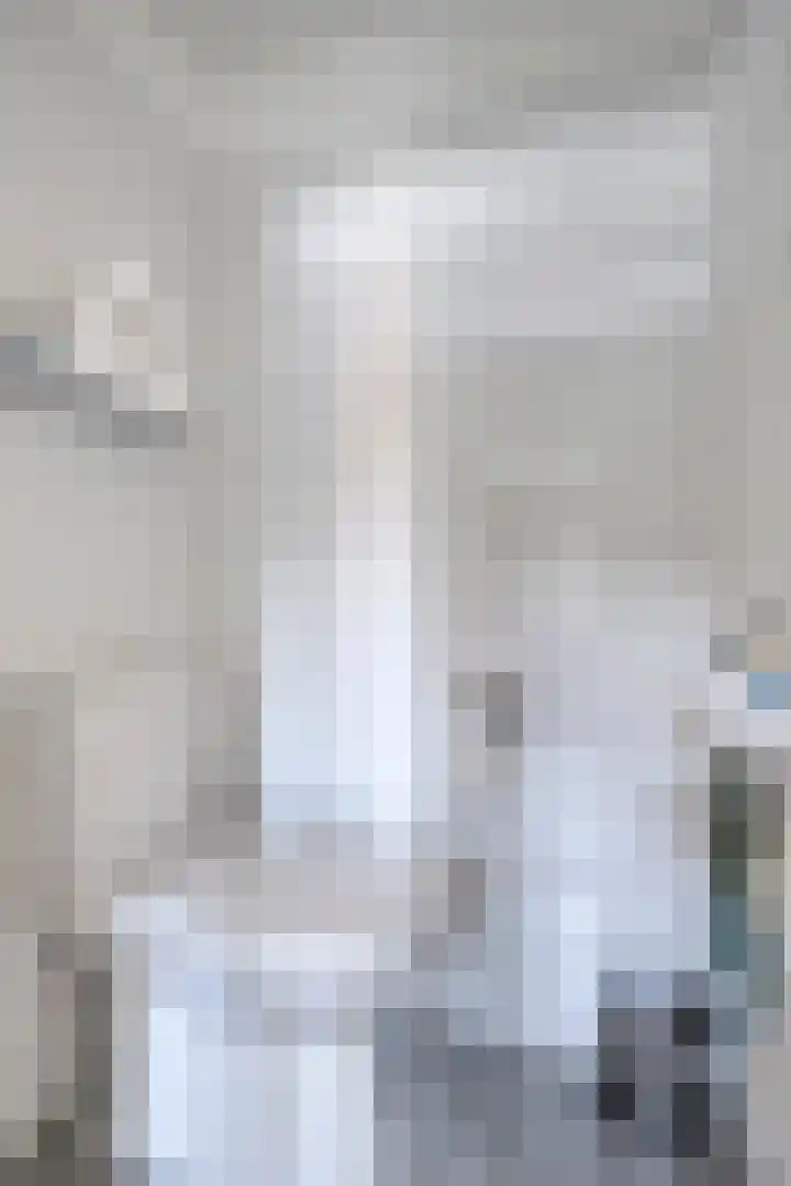 Watertorenstraat 43 Goes thumbnail 6