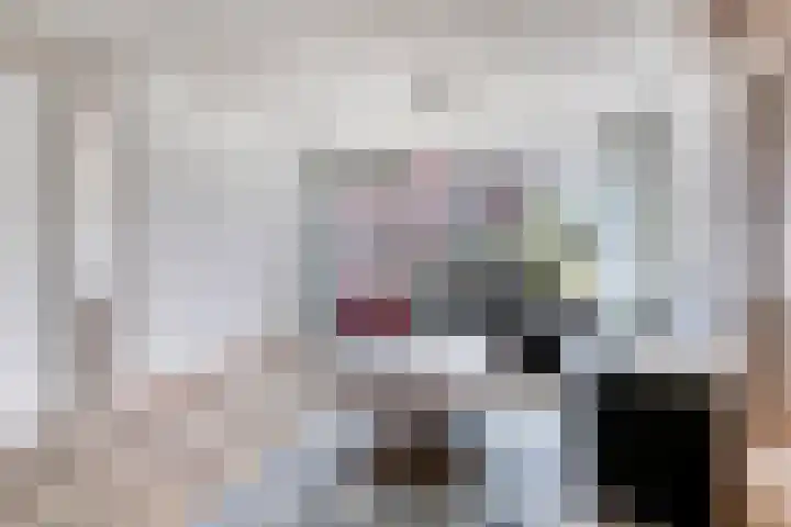 Watertorenstraat 43 Goes thumbnail 8