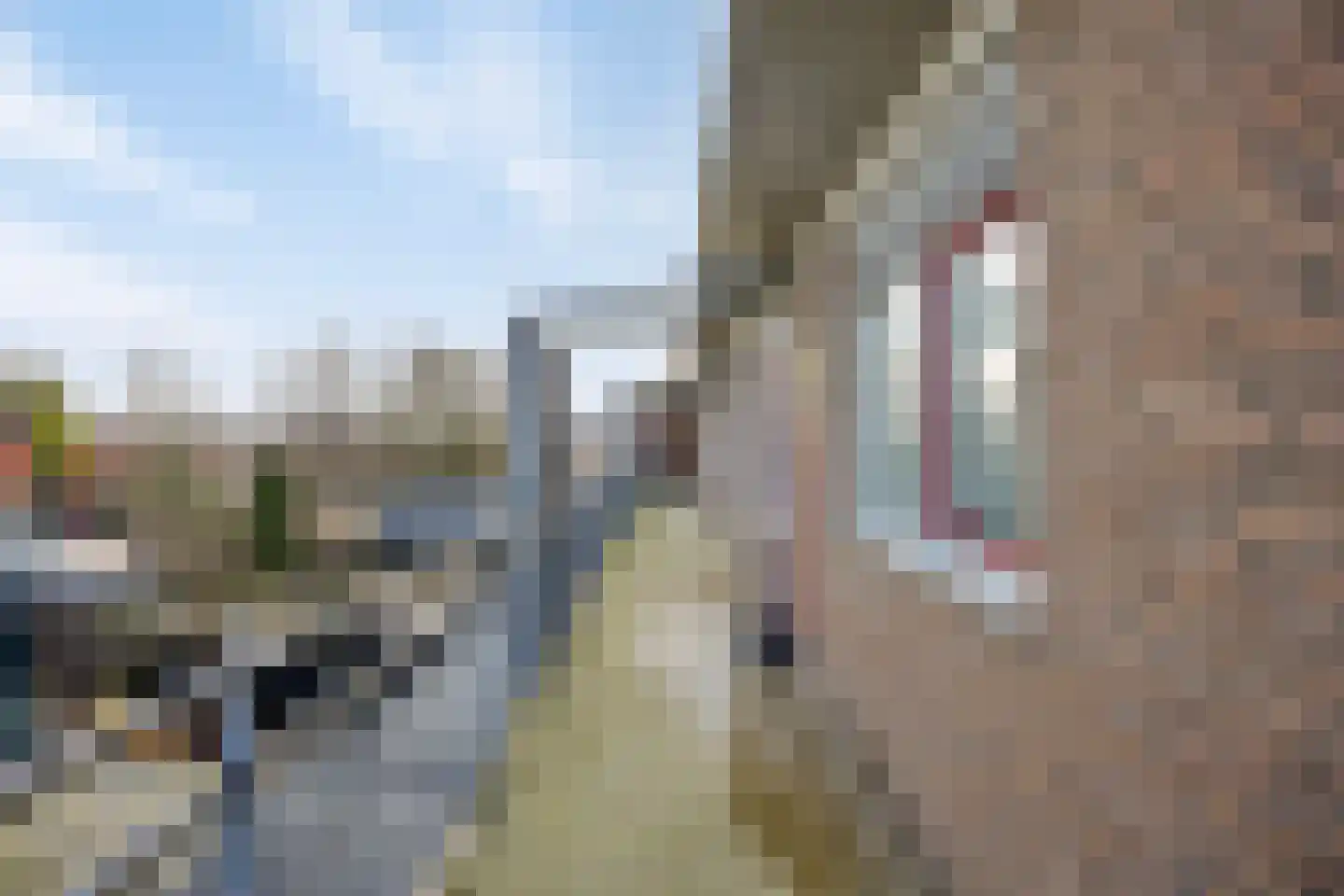 Watertorenstraat 49 Goes thumbnail 12