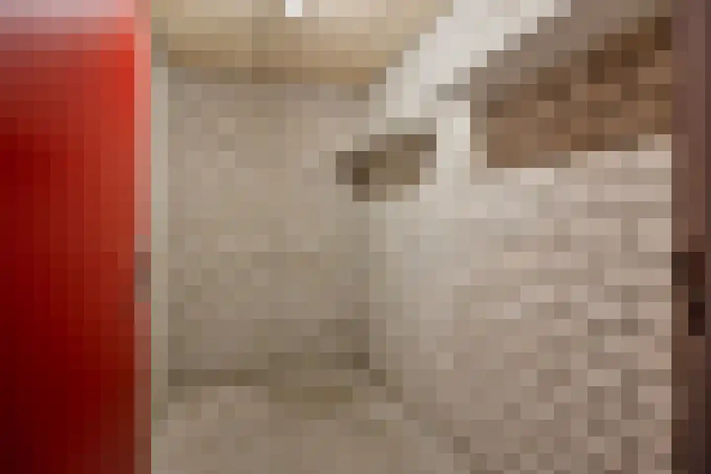 Watertorenstraat 49 Goes thumbnail 28
