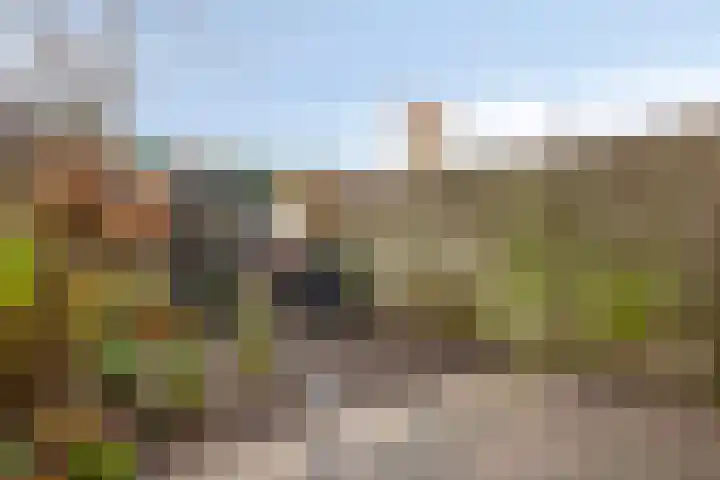 Watertorenstraat 62 Tilburg thumbnail 29