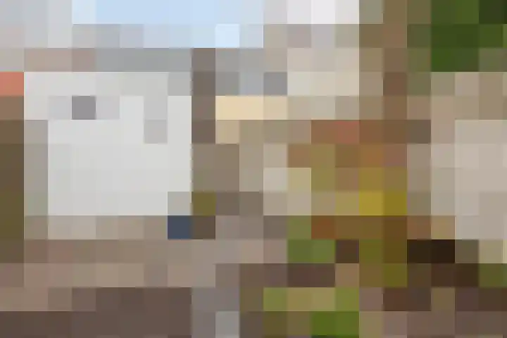Watertorenstraat 62 Tilburg thumbnail 30