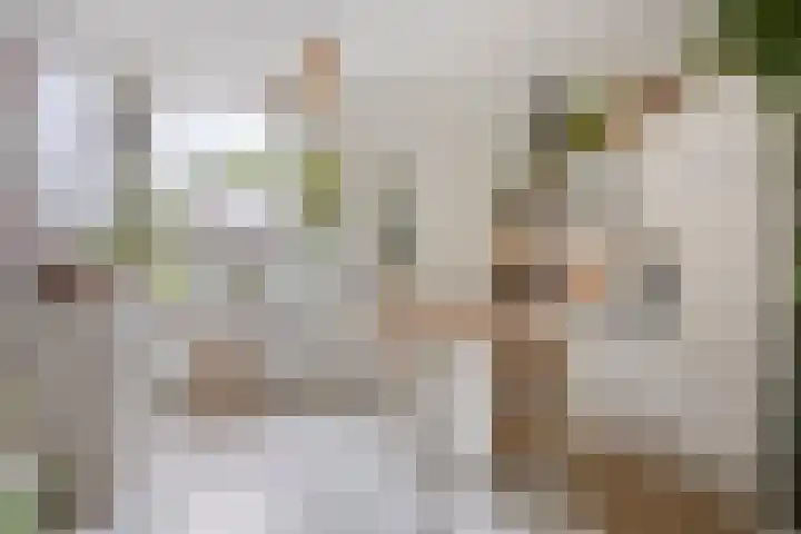 Watertorenstraat 62 Tilburg thumbnail 7