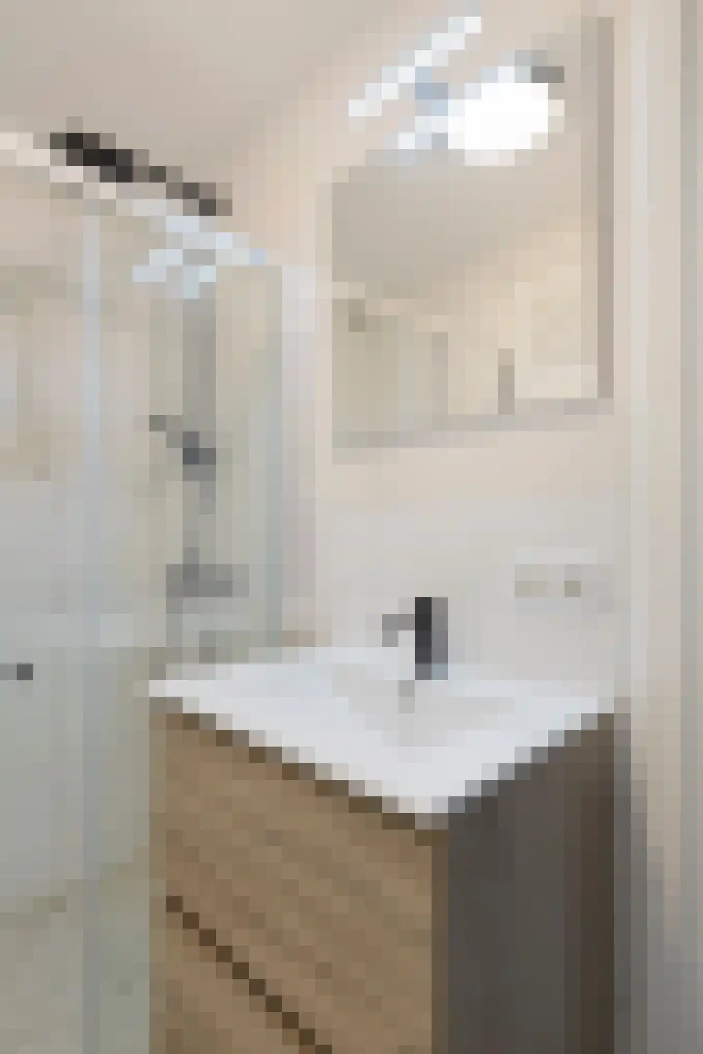 Watertorenstraat 64 Tilburg thumbnail 34