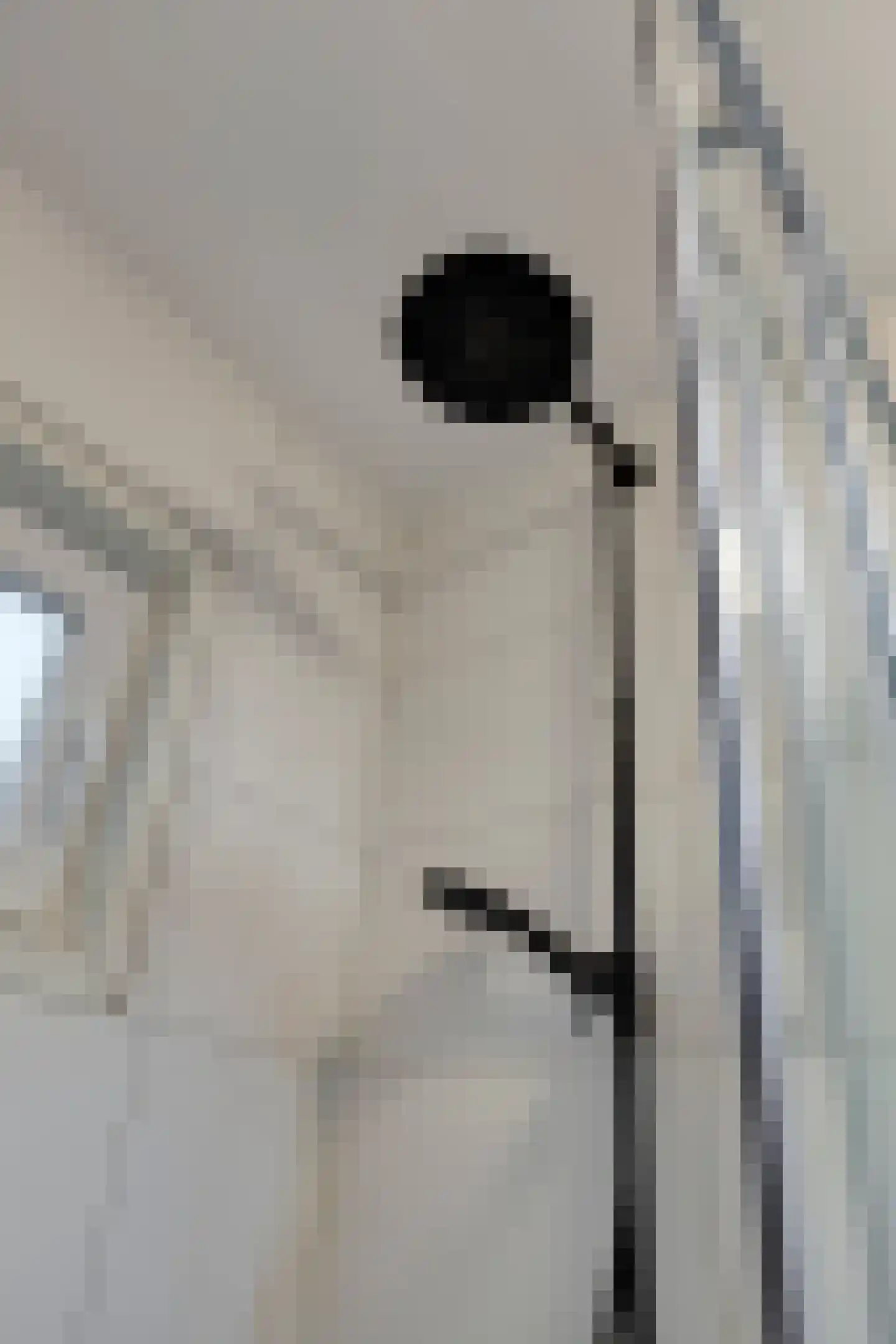 Watertorenstraat 64 Tilburg thumbnail 35