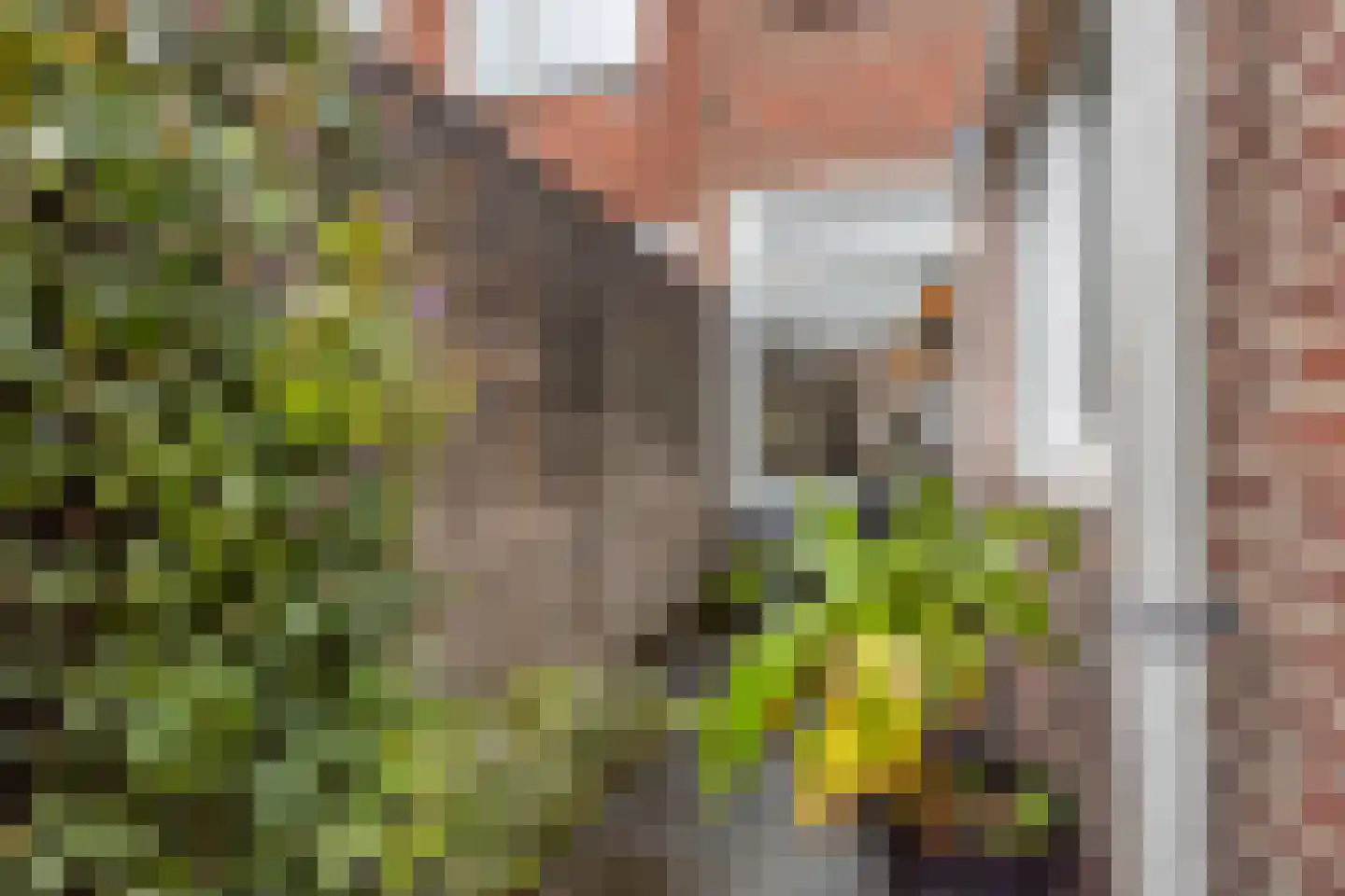 Watertorenstraat 64 Tilburg thumbnail 50