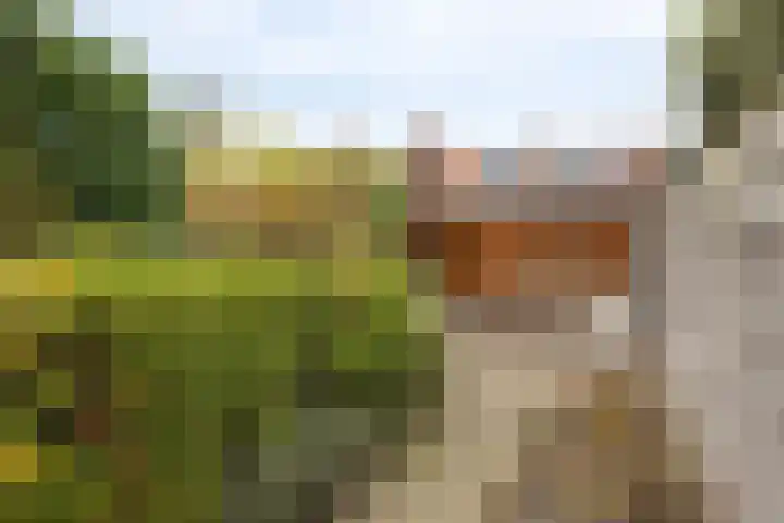 Watertorenstraat 71 Tilburg thumbnail 35
