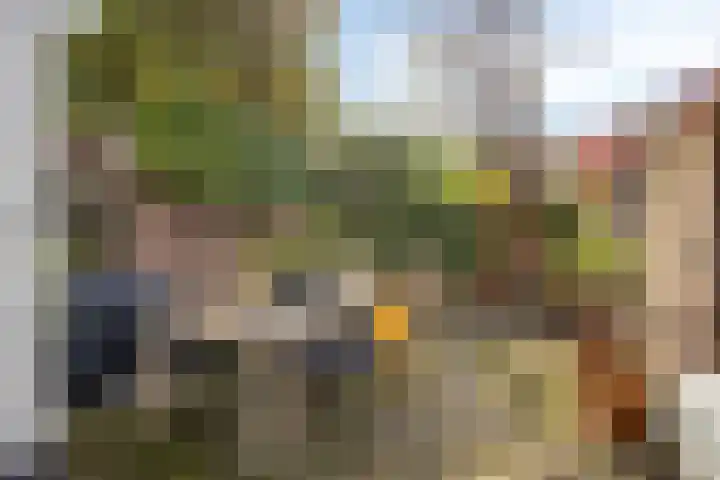 Watertorenstraat 8 Tilburg thumbnail 31
