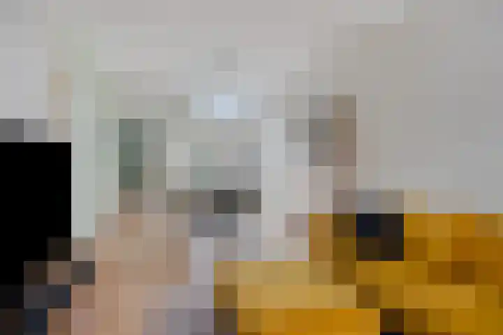 Watertorenstraat 8 Tilburg thumbnail 4