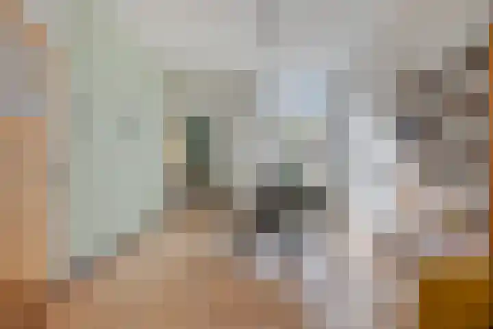 Watertorenstraat 8 Tilburg thumbnail 5