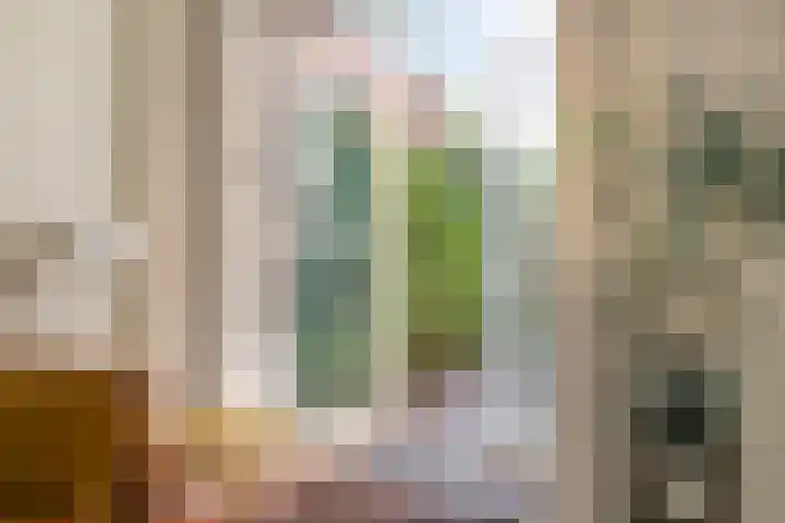 Watertorenstraat 96 Tilburg thumbnail 7