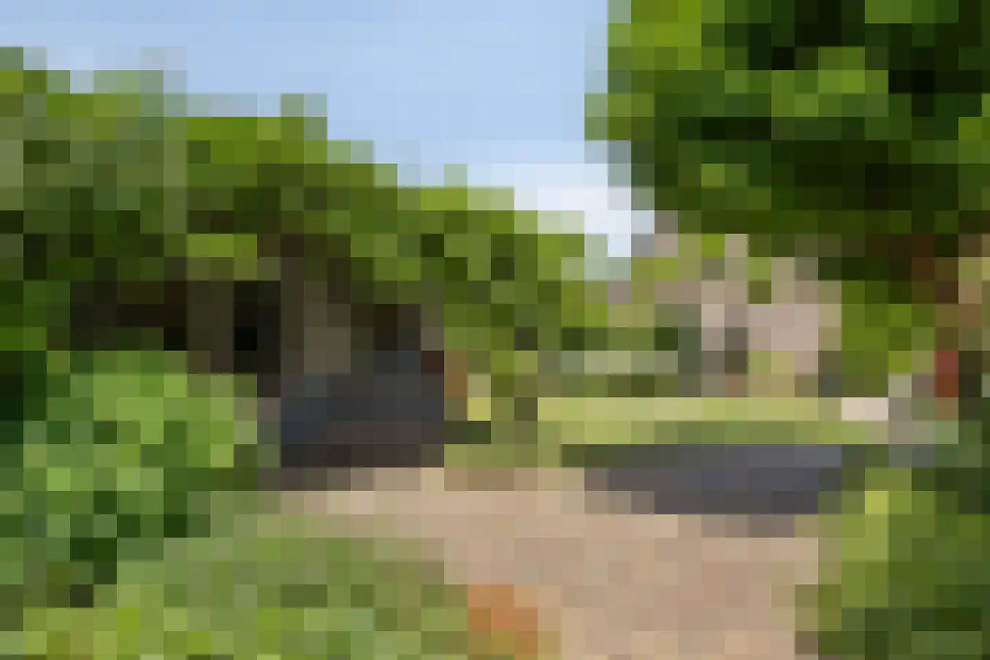 Watertorenweg 32 Berg en Dal thumbnail 36