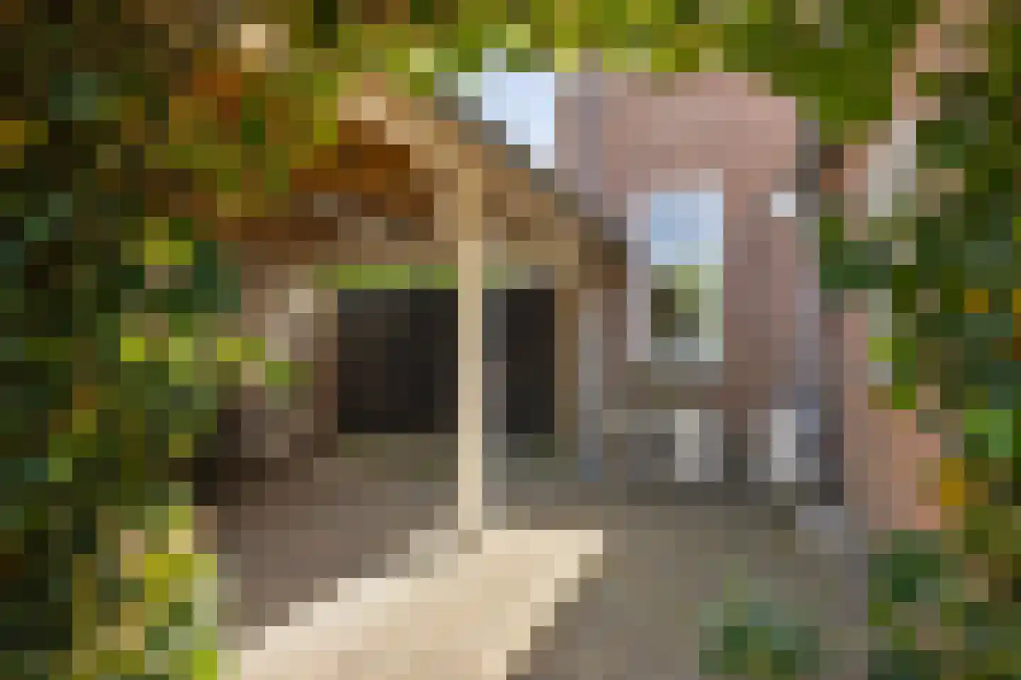 Watertorenweg 32 Berg en Dal thumbnail 40