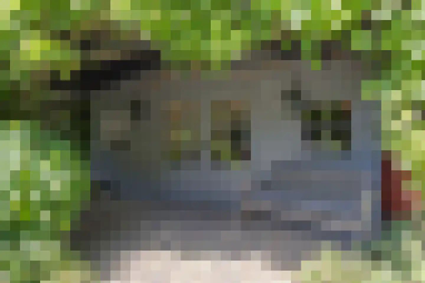 Watertorenweg 32 Berg en Dal thumbnail 60