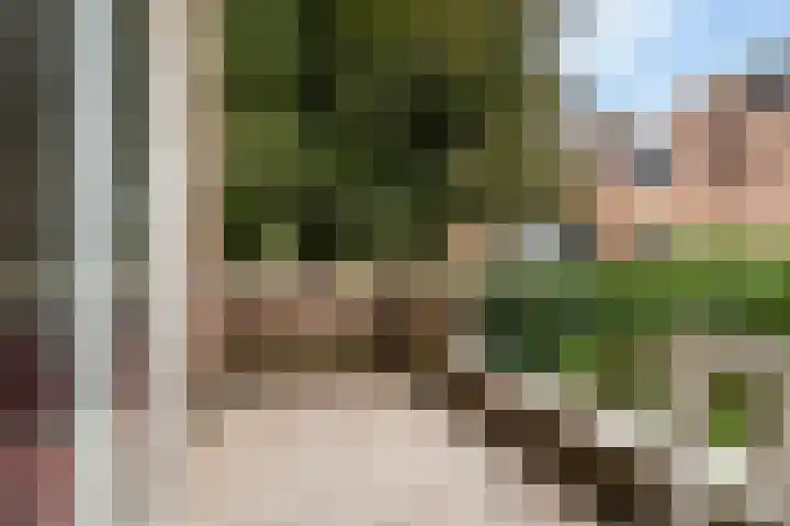 Watertorkruid 1 Nieuwerkerk aan den IJssel thumbnail 16
