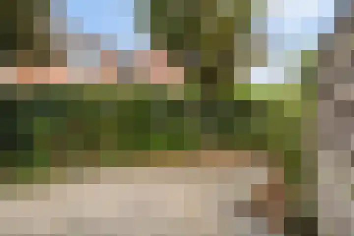 Watertorkruid 1 Nieuwerkerk aan den IJssel thumbnail 19