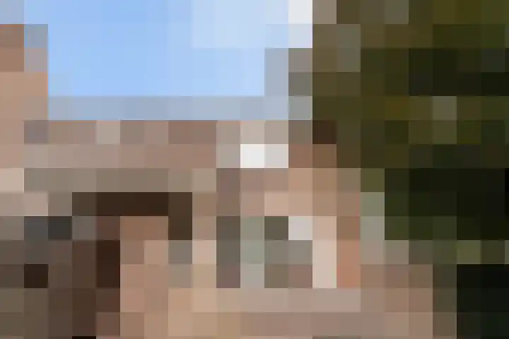 Watertorkruid 1 Nieuwerkerk aan den IJssel thumbnail 20