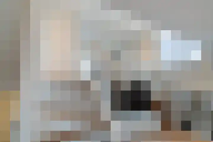 Watertorkruid 1 Nieuwerkerk aan den IJssel thumbnail 22