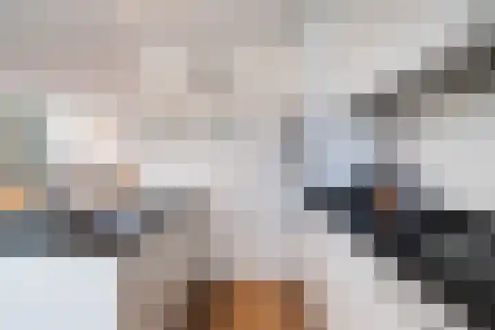 Watertorkruid 1 Nieuwerkerk aan den IJssel thumbnail 30