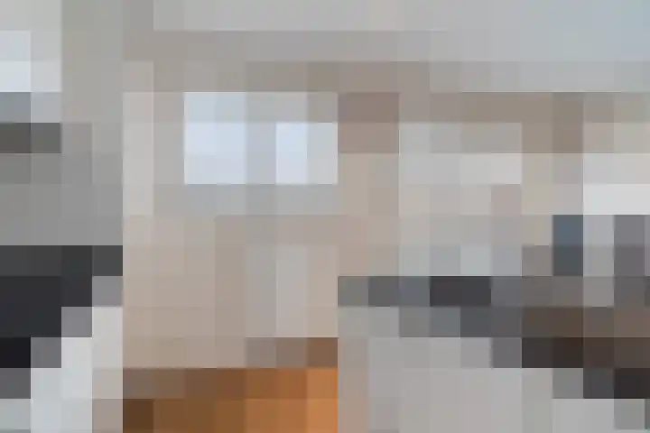 Watertorkruid 1 Nieuwerkerk aan den IJssel thumbnail 31
