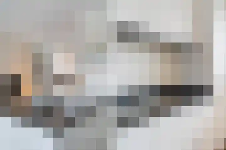 Watertorkruid 1 Nieuwerkerk aan den IJssel thumbnail 33