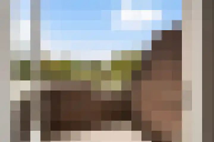 Watertorkruid 1 Nieuwerkerk aan den IJssel thumbnail 39