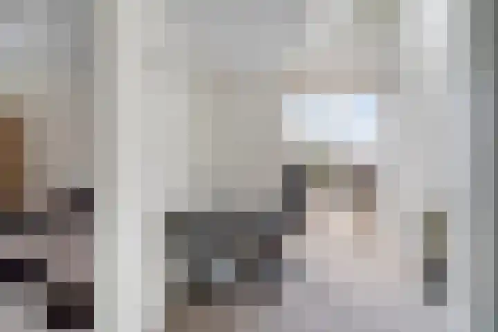 Watertorkruid 1 Nieuwerkerk aan den IJssel thumbnail 42