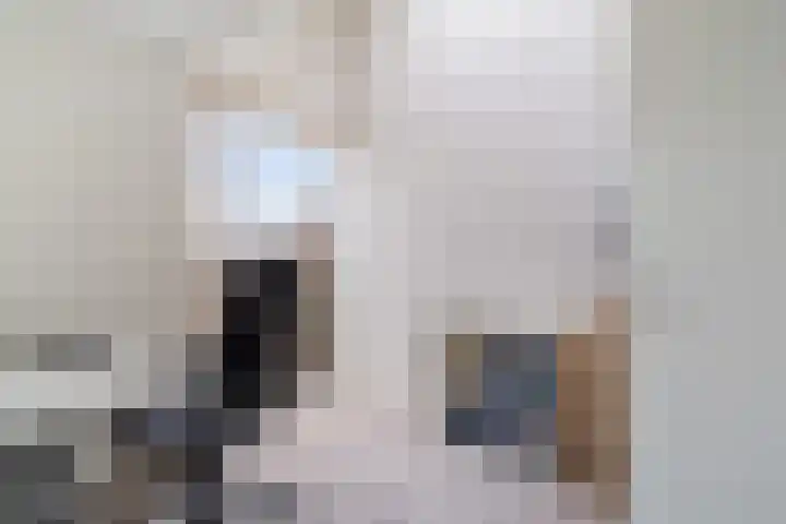 Watertorkruid 1 Nieuwerkerk aan den IJssel thumbnail 43