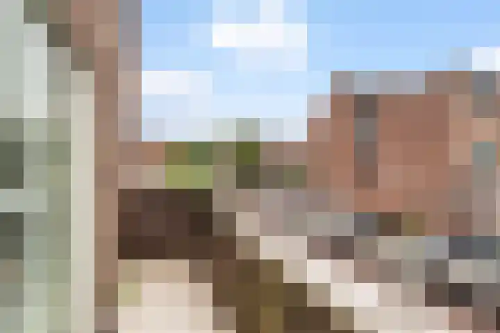 Watertorkruid 1 Nieuwerkerk aan den IJssel thumbnail 47