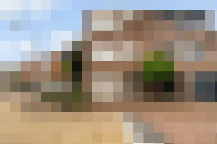 Watertorkruid 1 Nieuwerkerk aan den IJssel thumbnail 5