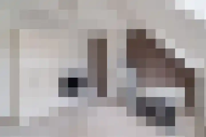 Watertorkruid 1 Nieuwerkerk aan den IJssel thumbnail 51