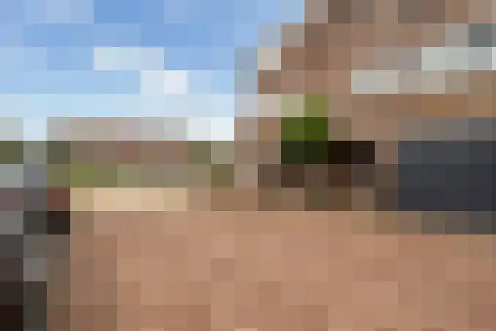 Watertorkruid 1 Nieuwerkerk aan den IJssel thumbnail 6