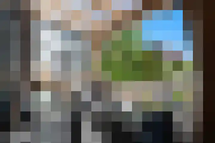 Watertorkruid 3 Nieuwerkerk aan den IJssel thumbnail 11