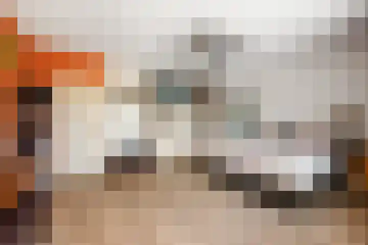 Watertorkruid 3 Nieuwerkerk aan den IJssel thumbnail 13